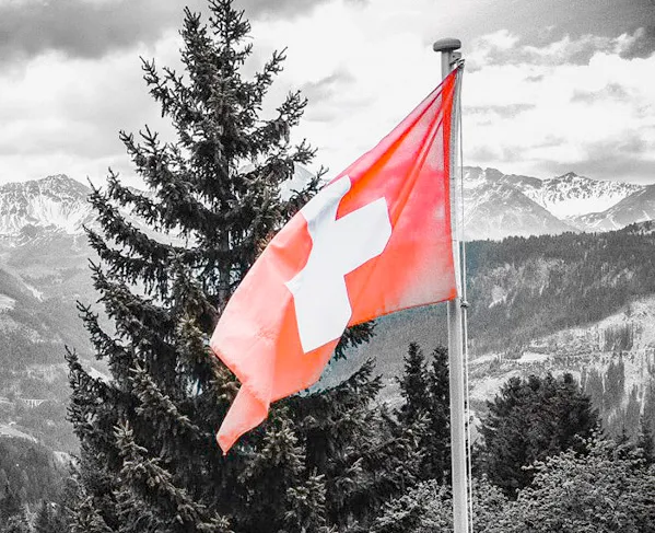 dreapeau seed suisse